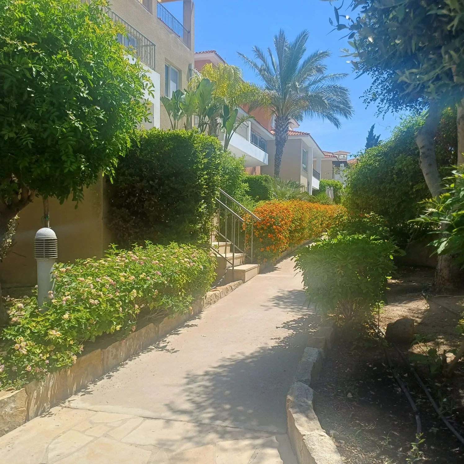 Property APN-0006-S Geroskipou, Paphos 15