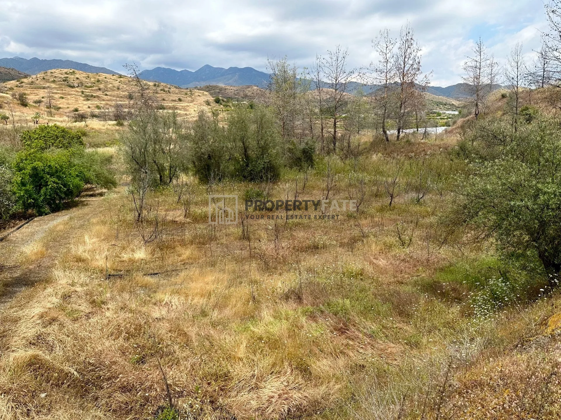 Bien immobilier 38971 Eptagonée, Limassol / 1011