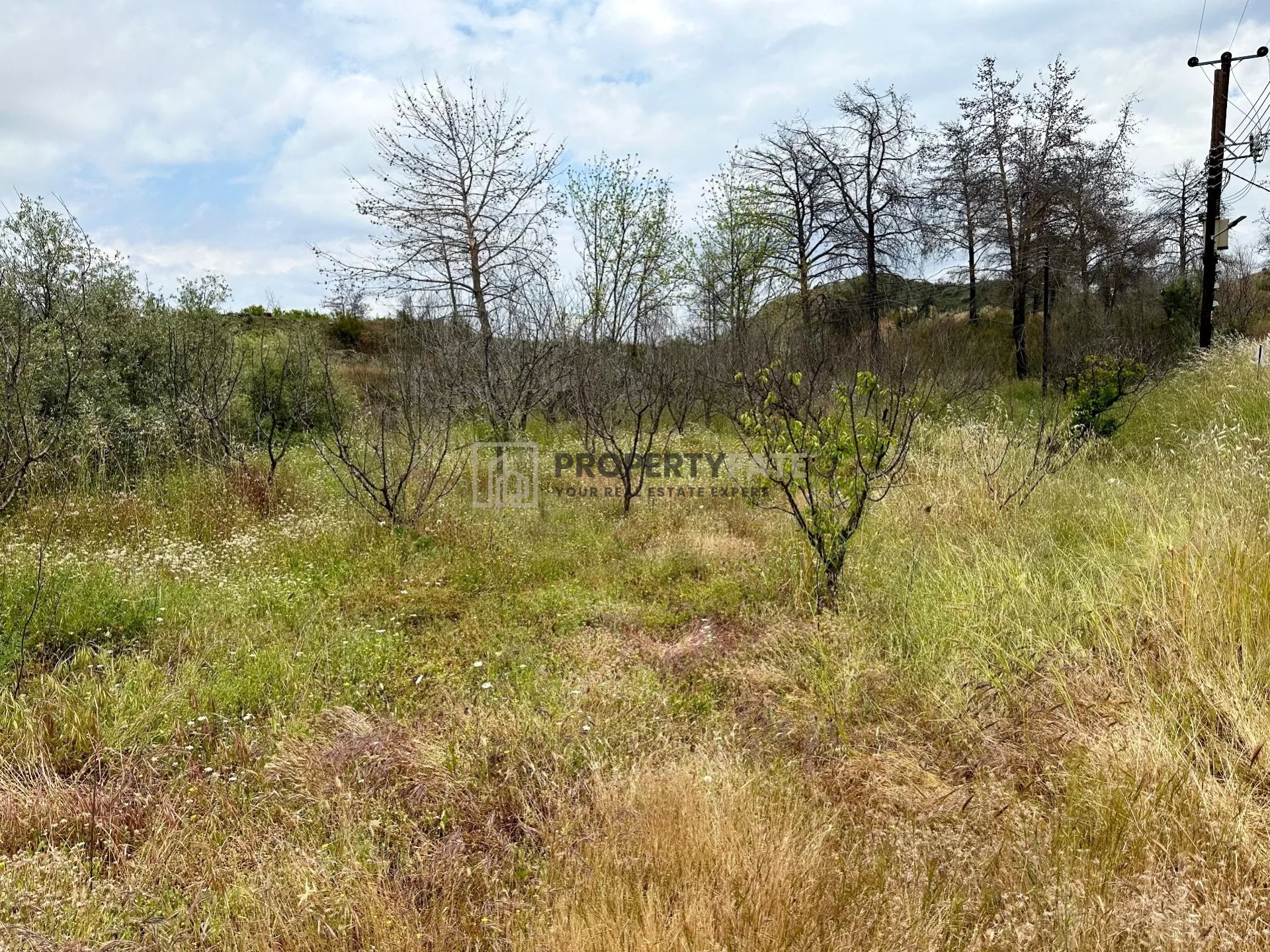 Bien immobilier 38971 Eptagonée, Limassol / 1011