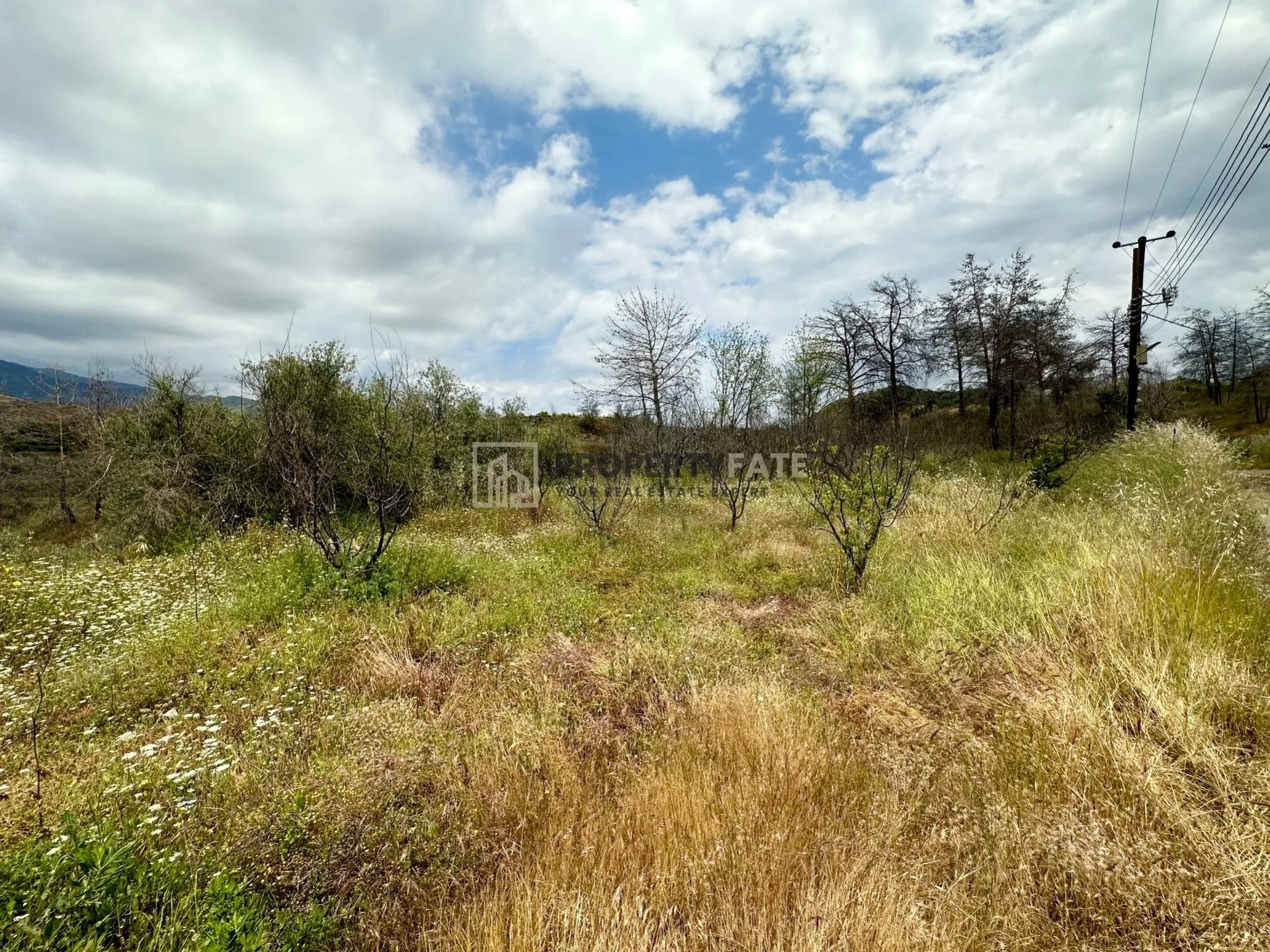 Bien immobilier 38971 Eptagonée, Limassol / 1011