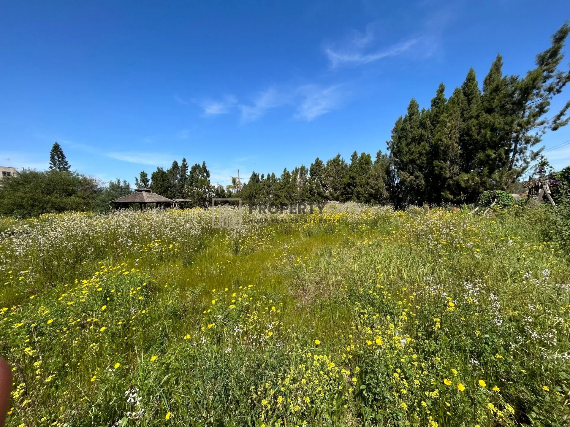 Propiedad 38976 Kato Polemidia, Limassol / 1019