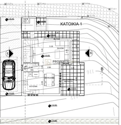 Immobile 59423 Akrounta, Limassol / 1381