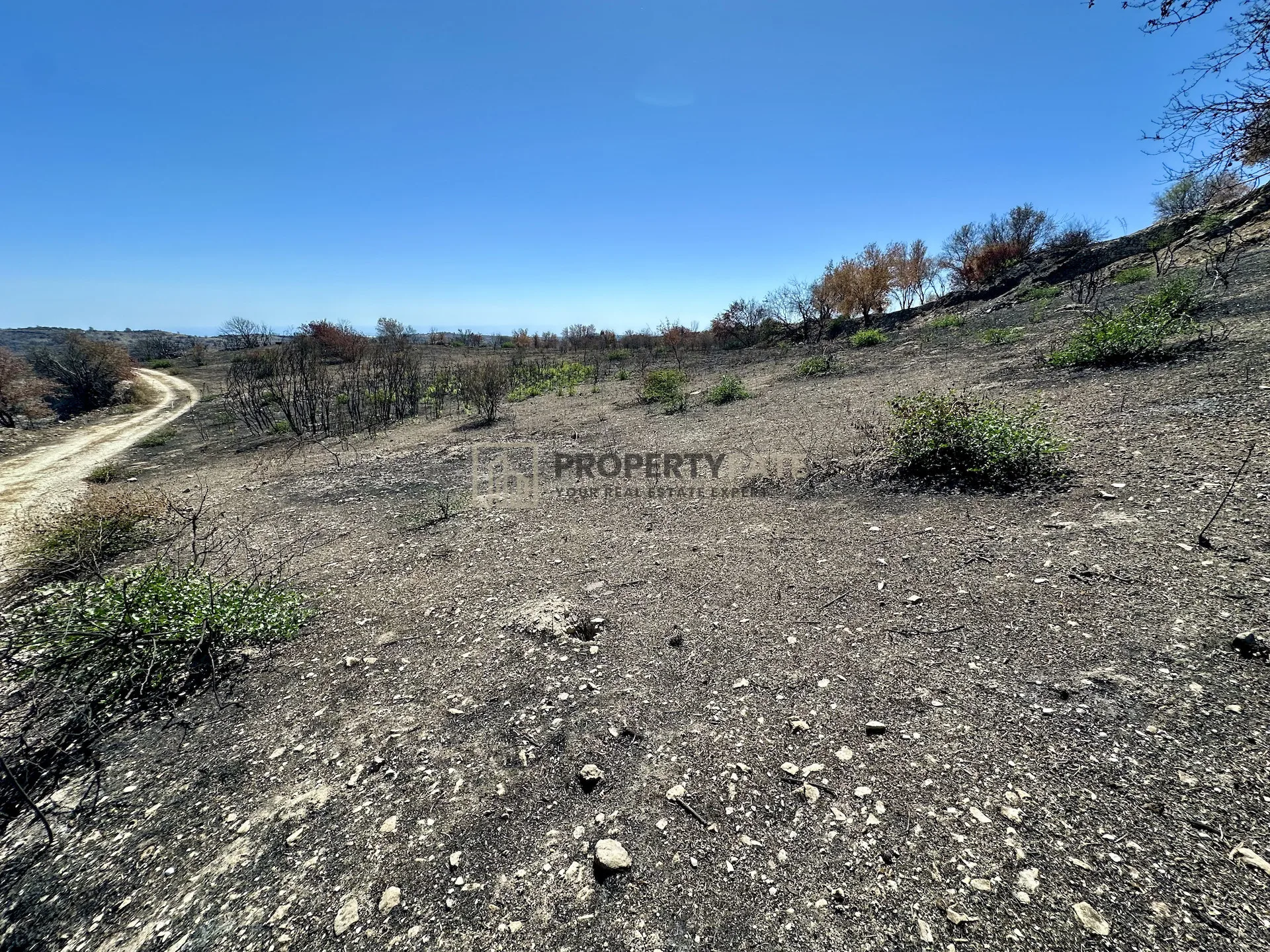 Nieruchomość 60628 Koilani, Limassol / 1856