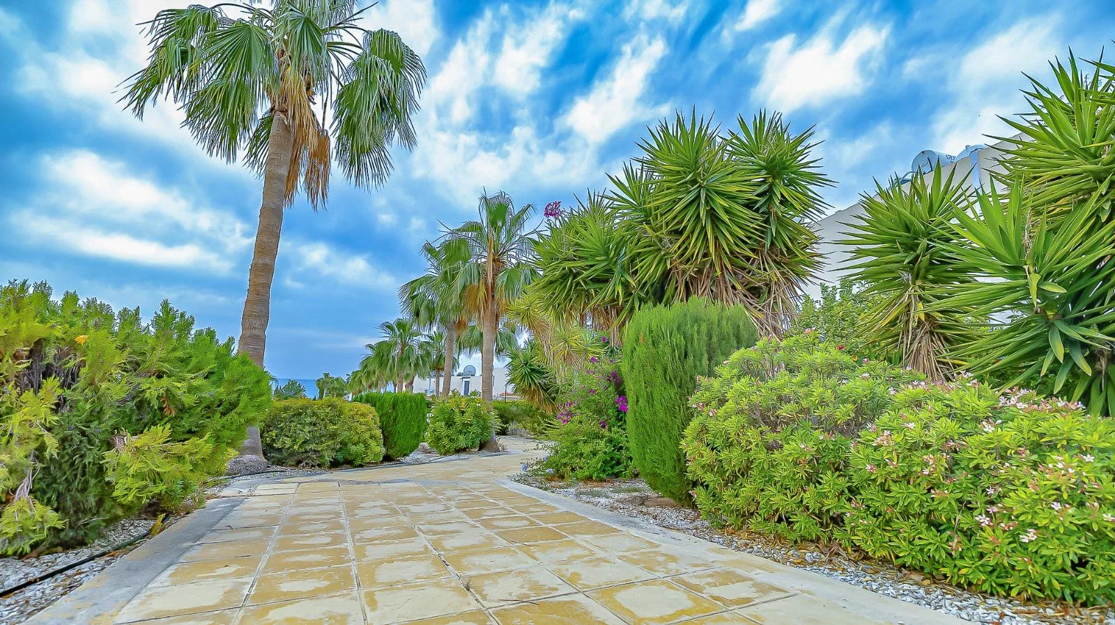 Bien immobilier 62535 Pegeia, Paphos / AP-0015-S 22