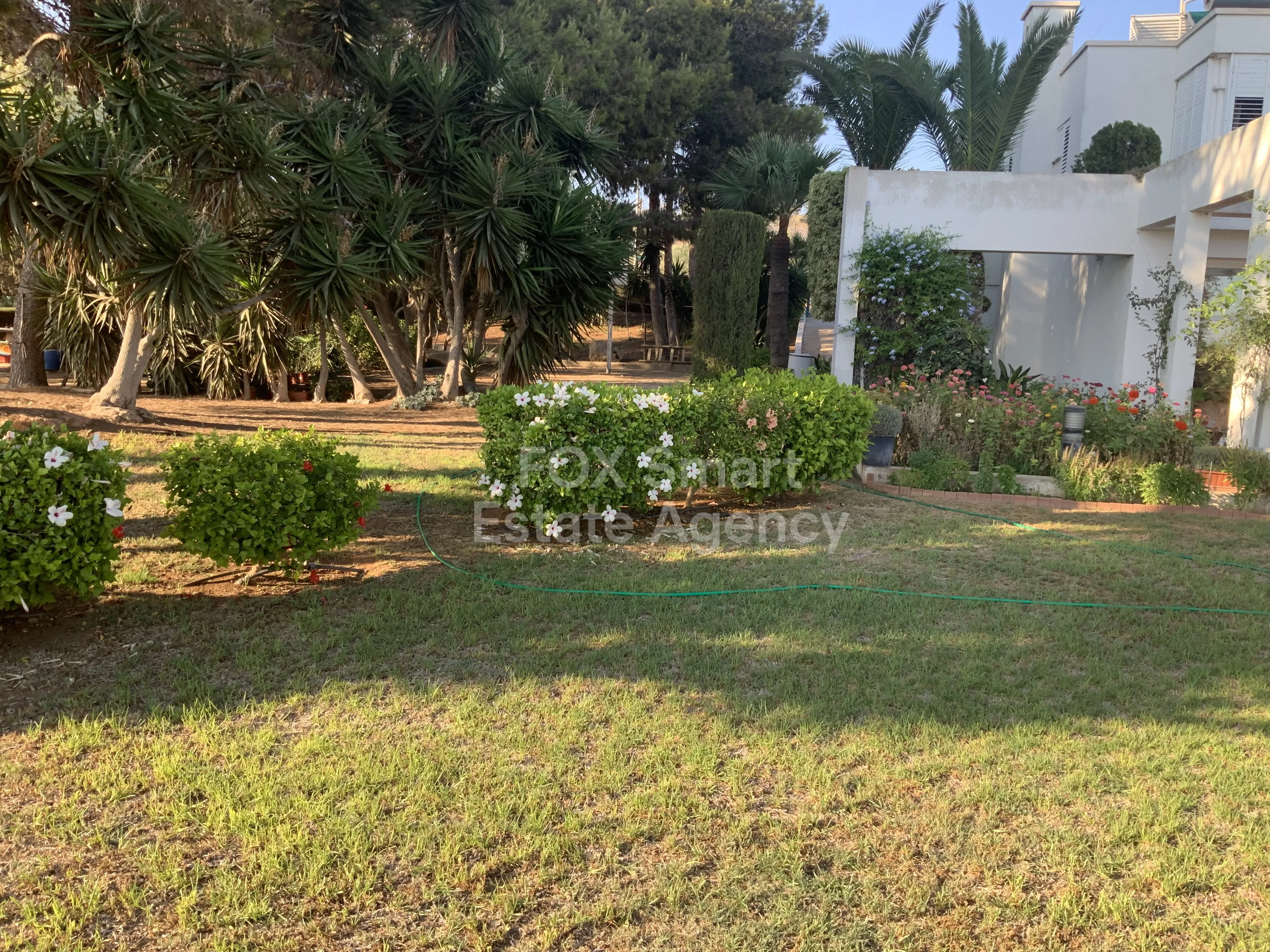 房产 35106 Ayia Napa, 法马古斯塔 / 26695 14