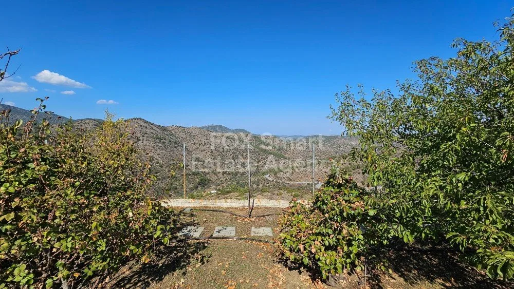 Bien immobilier 36404 Gourri, Nicosie / 29086 21