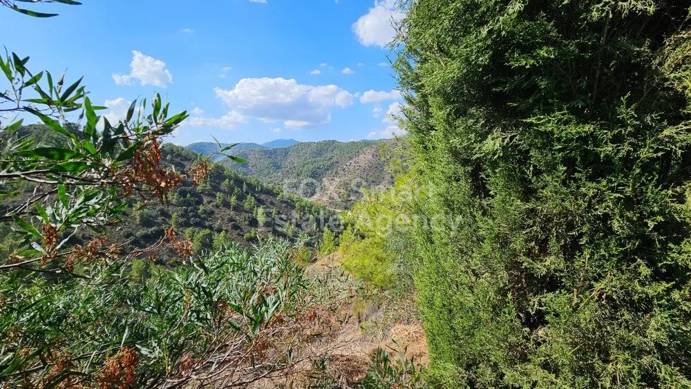 Bien immobilier 36404 Gourri, Nicosie / 29086 29