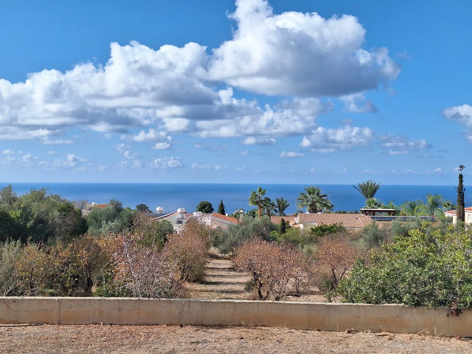 Bien immobilier RG-0023-S Tala, Paphos 26
