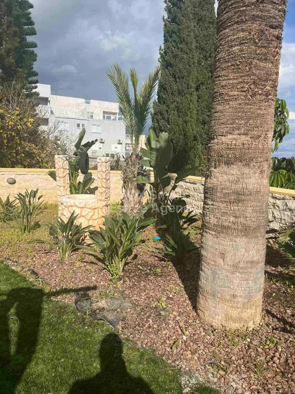 Bien immobilier 35415 Tersefanou, Larnaca / 30066 37