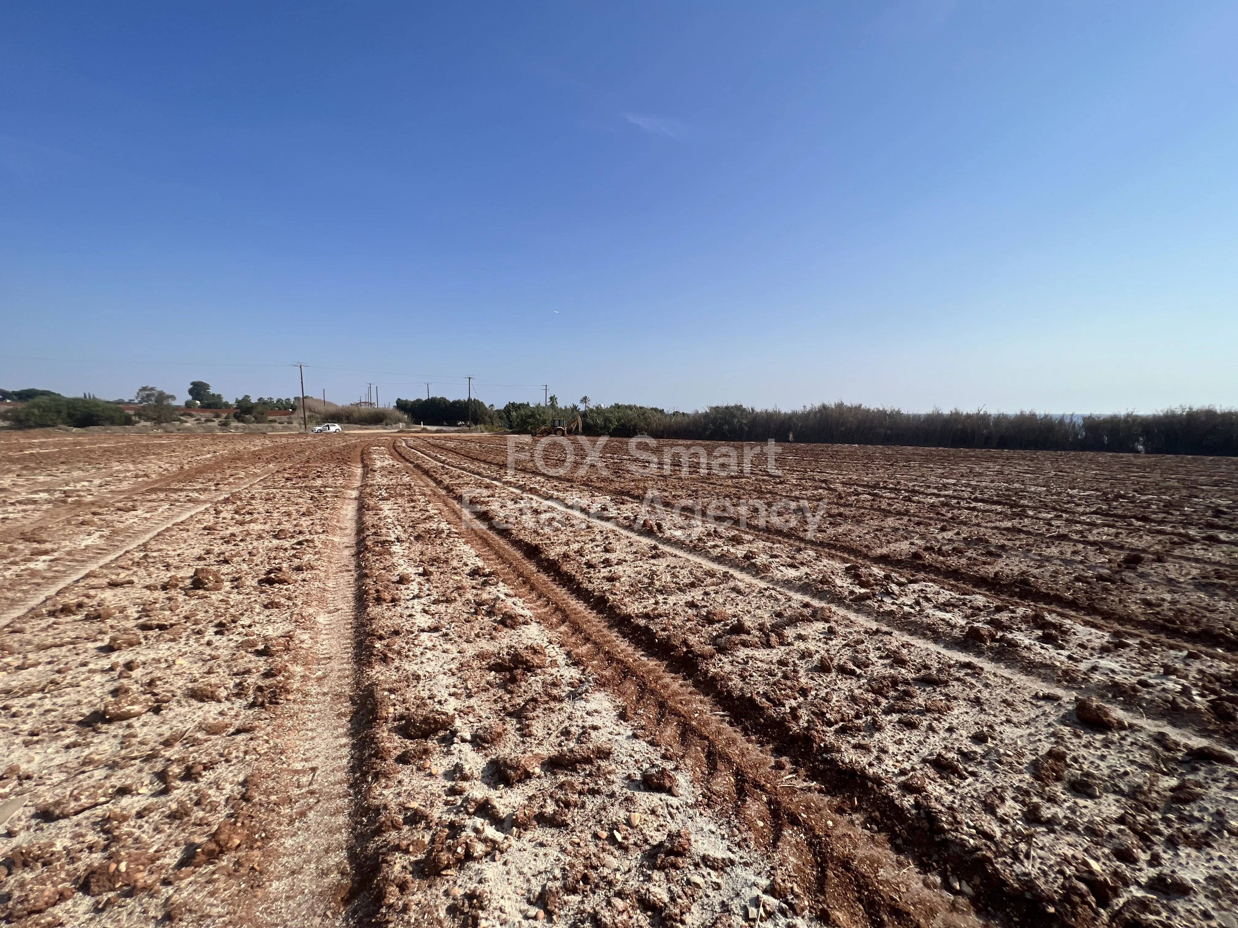 Immobilie 36670 Ormideia, Larnaka / 30067 19