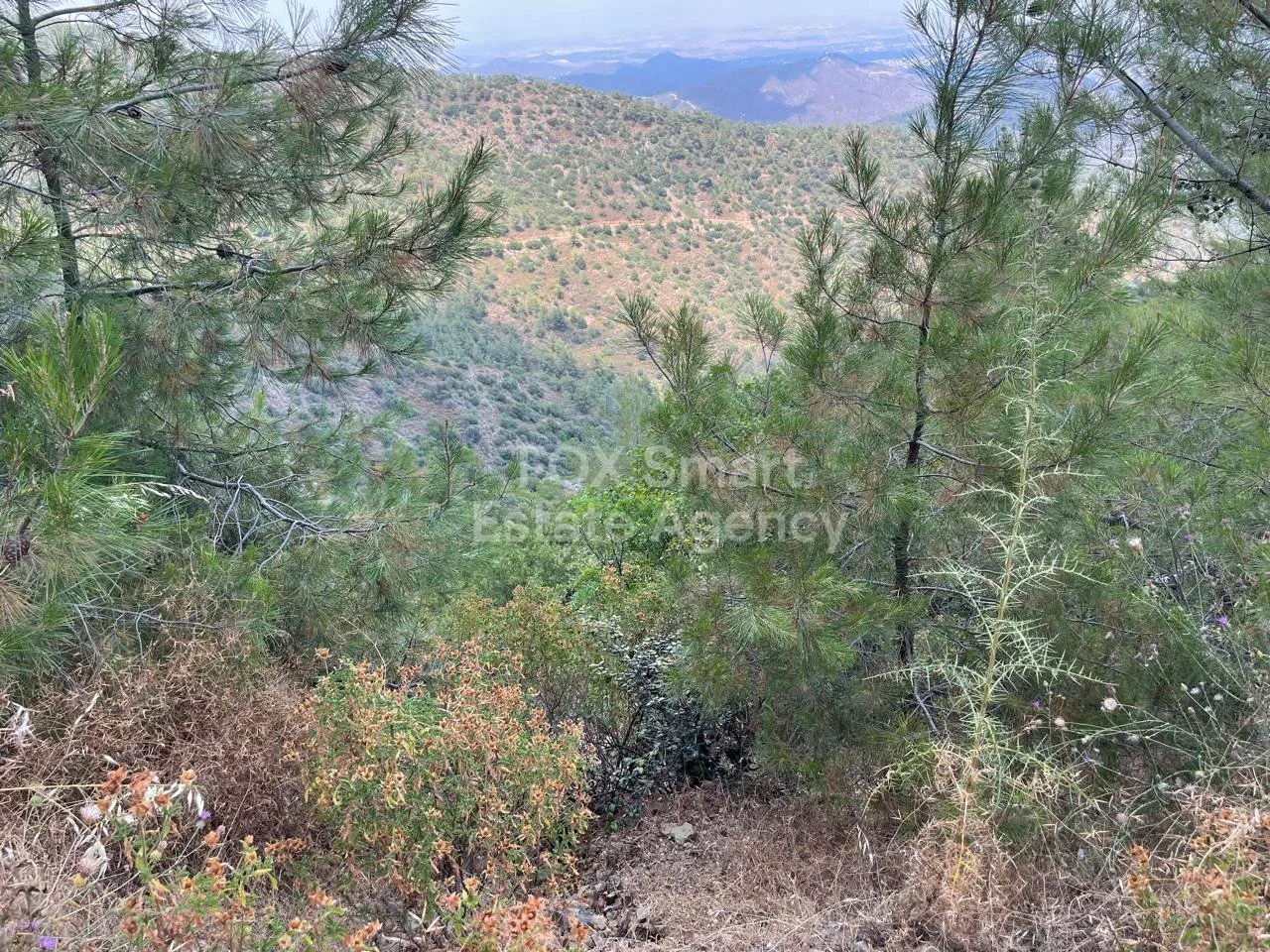 נכס 39655 ווטסיניה, לרנקה / 36060
