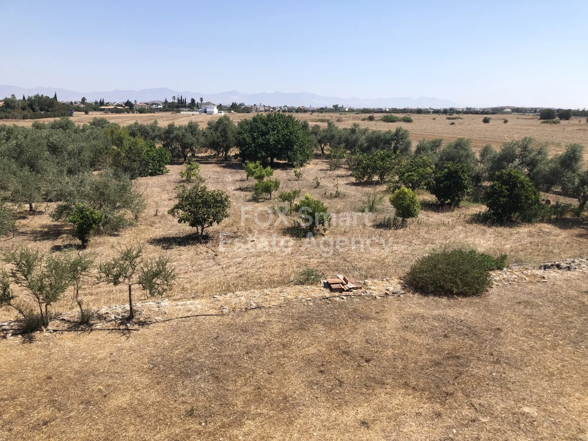 Property 42992 Pera, Nicosia / 36361 25