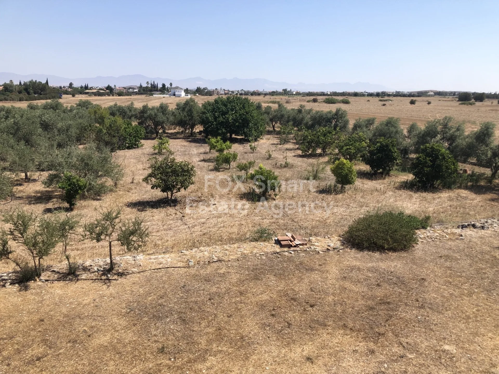 Propiedad 36361 Pera, Nicosia 25