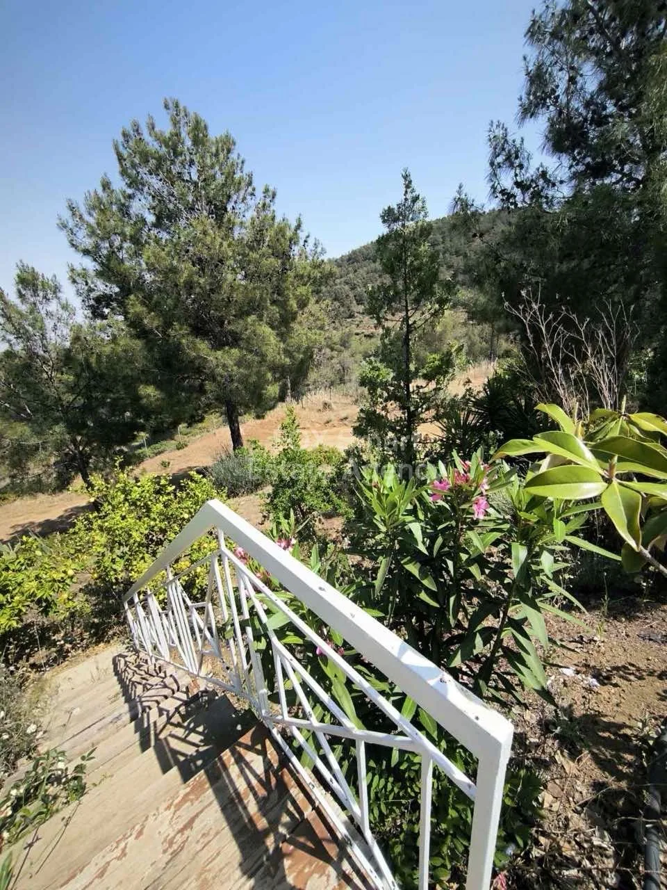 Ακίνητο 43131 Λυθροδόντας, Λευκωσία / 36956 14
