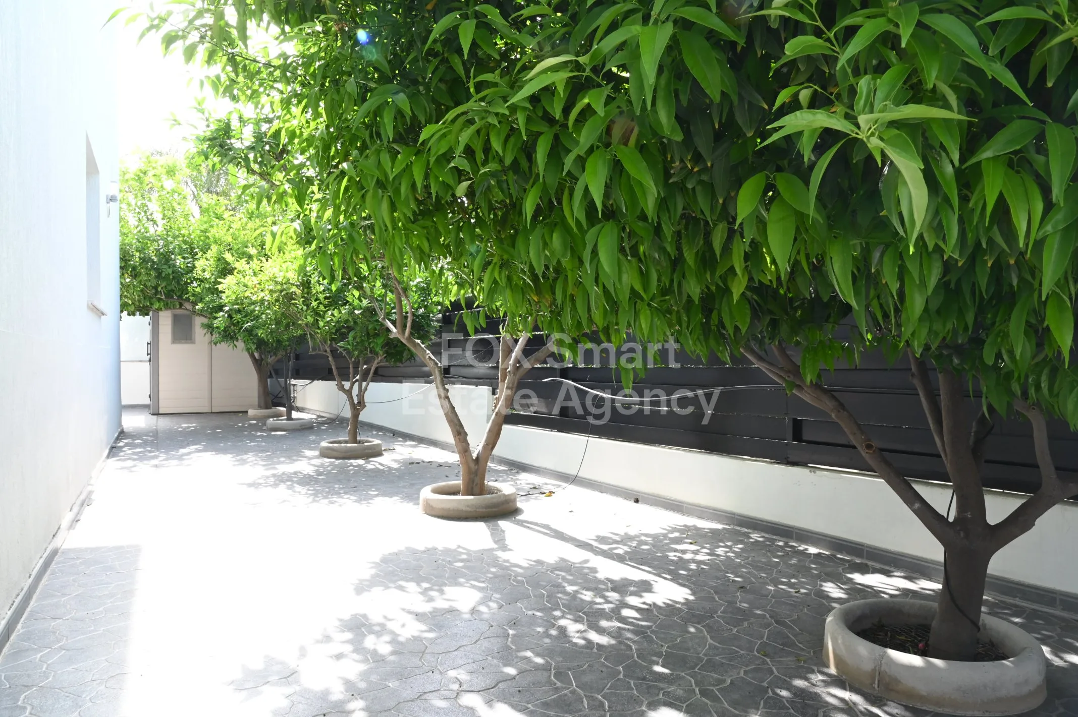 Immobile 44772 Latsia, Nicosia / 38756