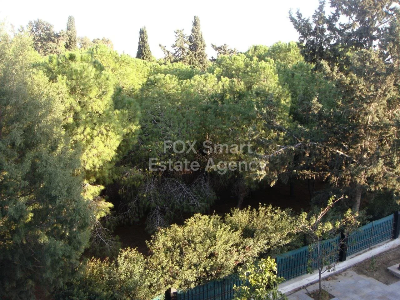 Immobilie 45251 Larnaka, Larnaka / 39219 22