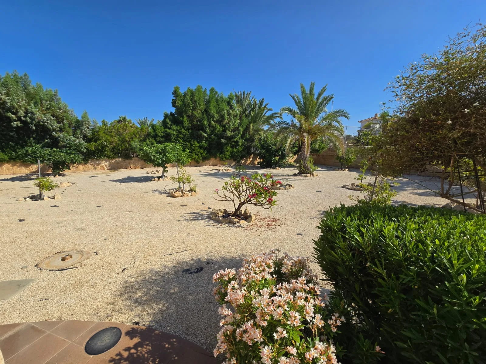 Immobilie WT-0025-S Pegeia, Paphos 24