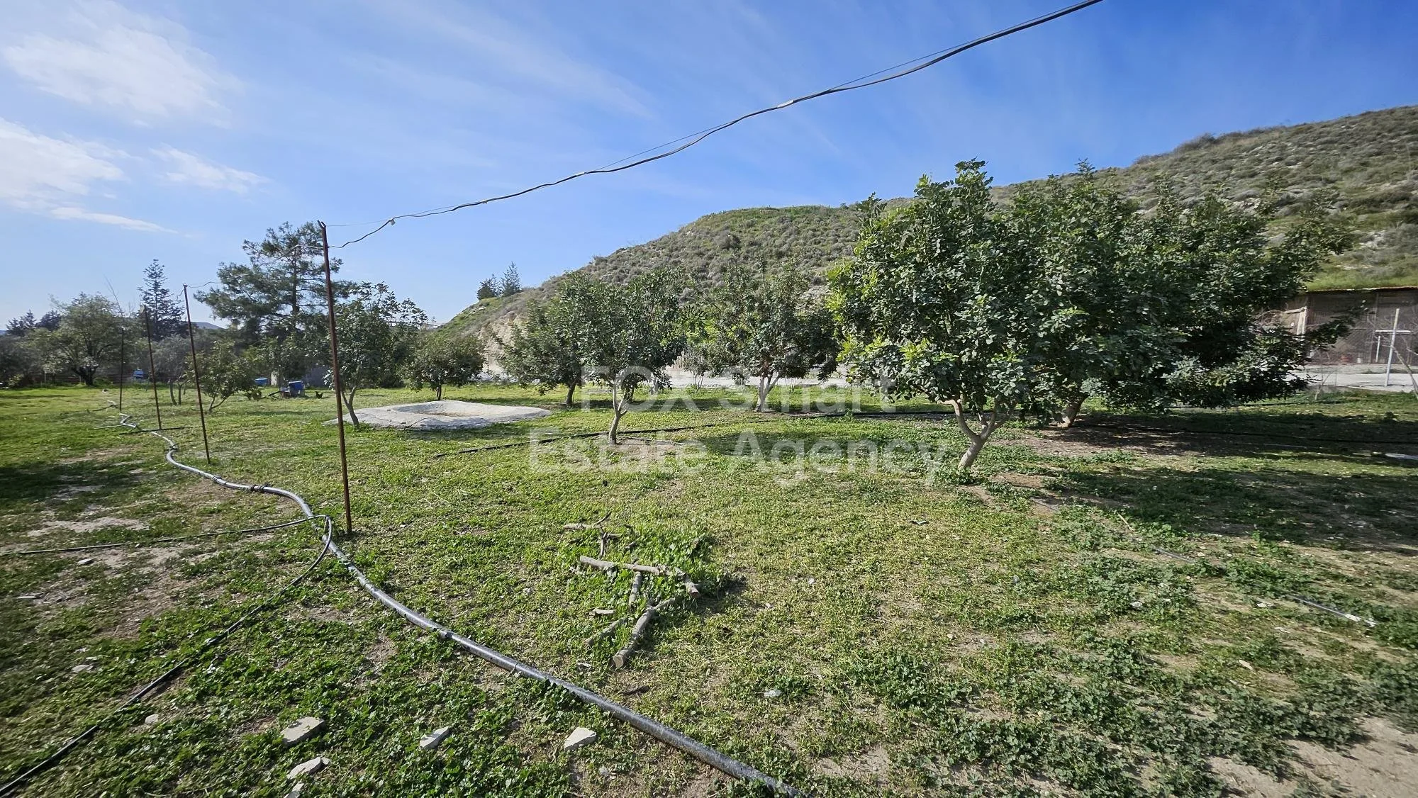 Ακίνητο 48935 Αραδίππου, Λάρνακα / 41753 13