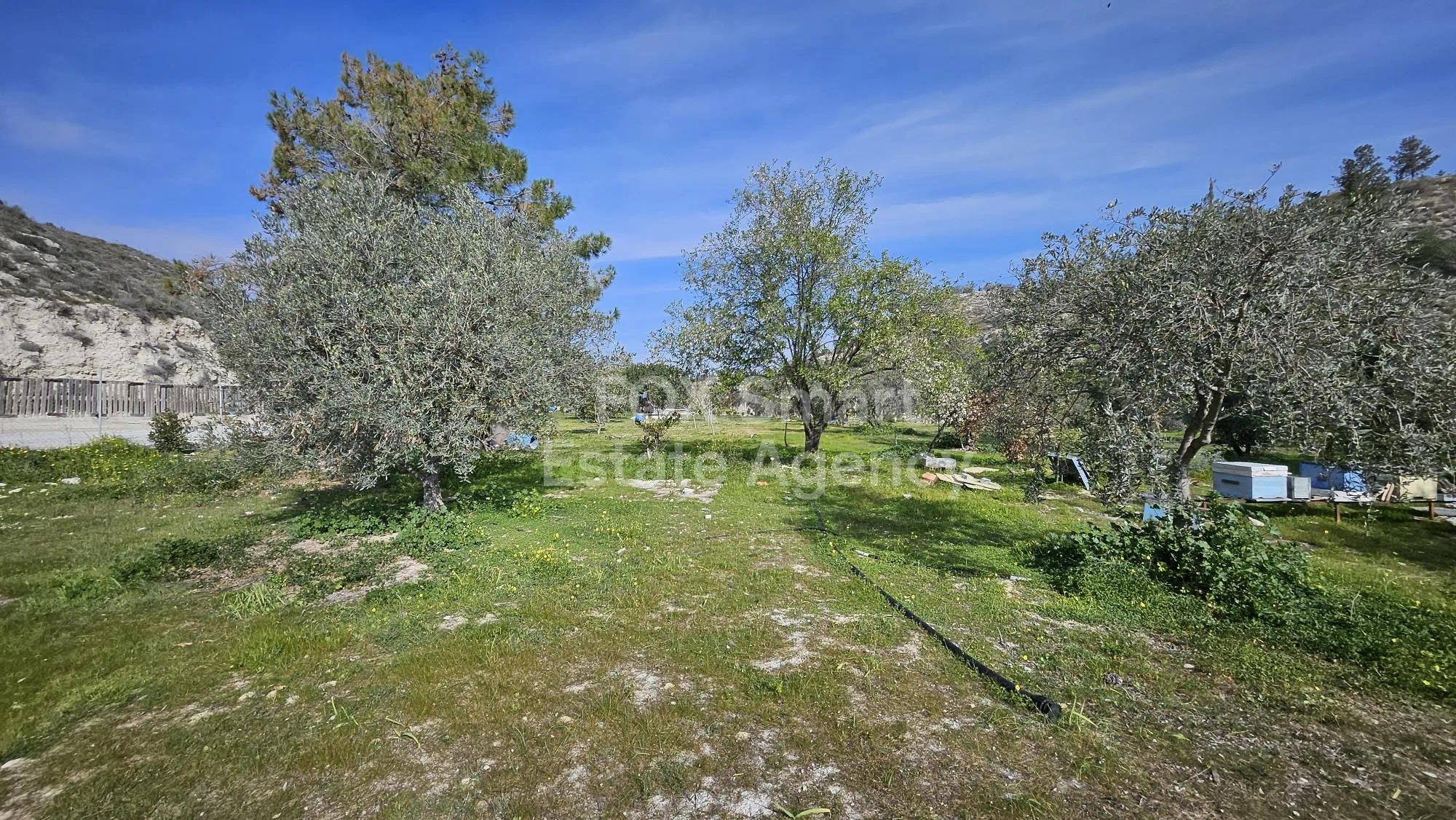 Ακίνητο 48935 Αραδίππου, Λάρνακα / 41753 16