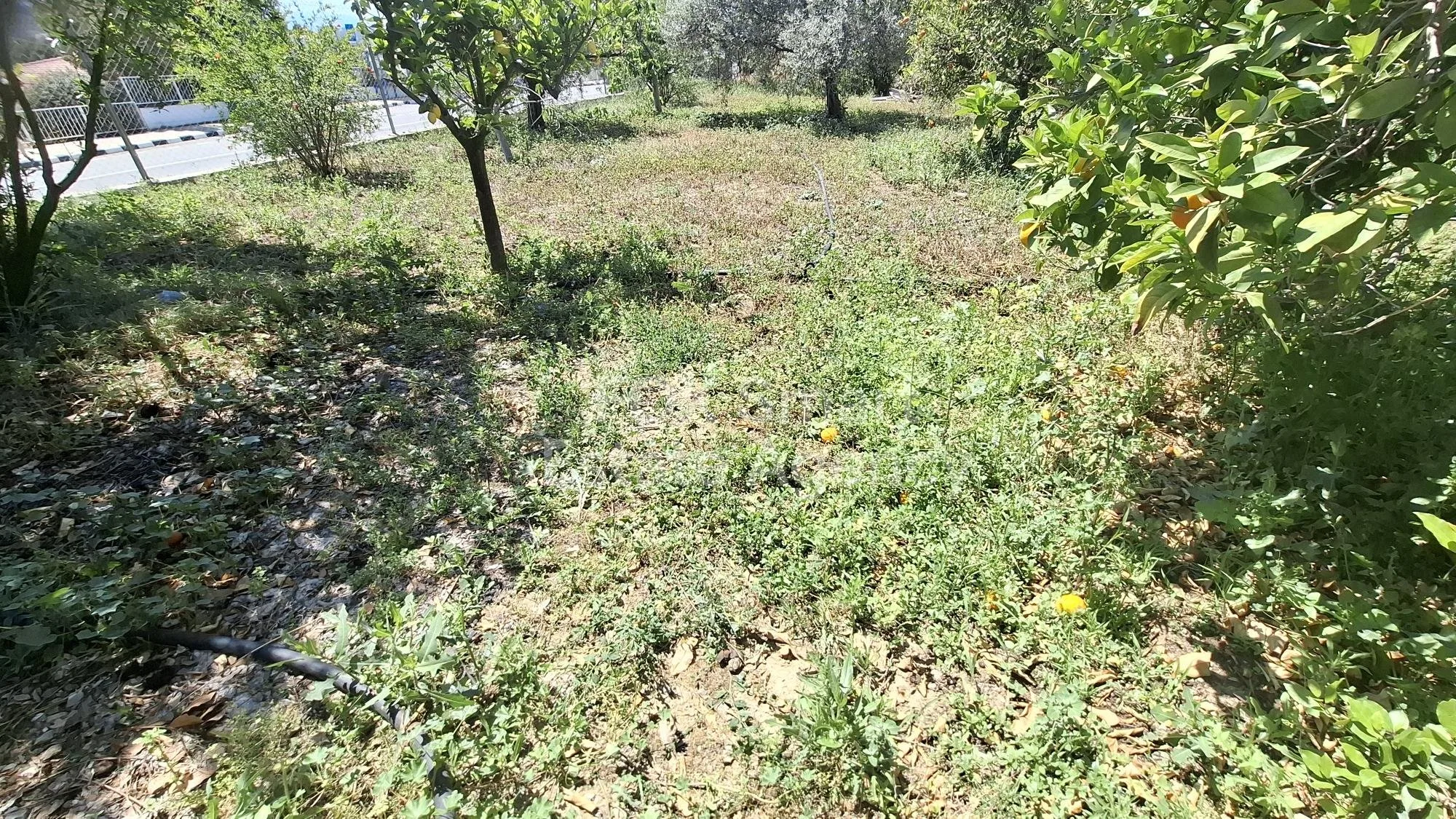 Immobile 50039 Pera, Nicosia / 42643 18