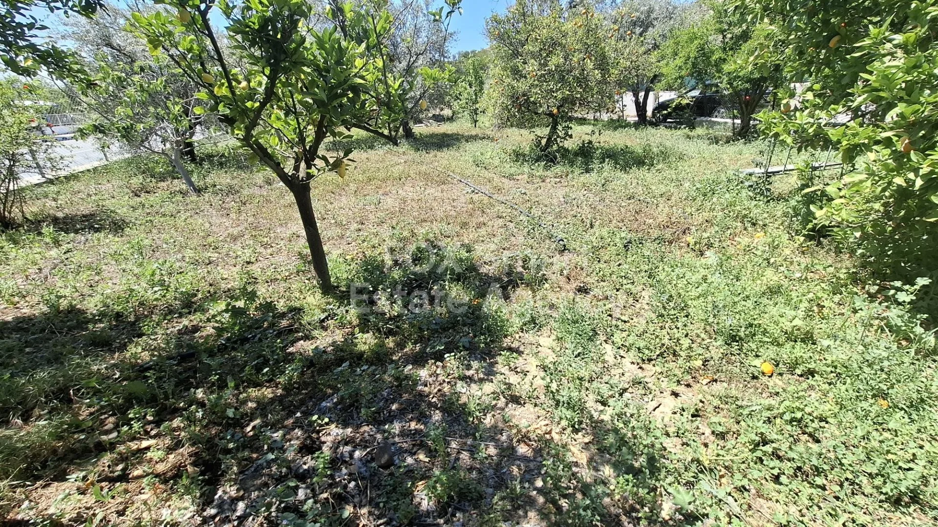 Propiedad 42643 Pera, Nicosia 19