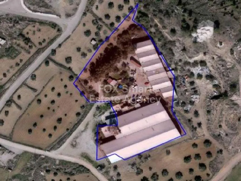 Bien immobilier 50905 Agia Varvara, Nicosie / 43359