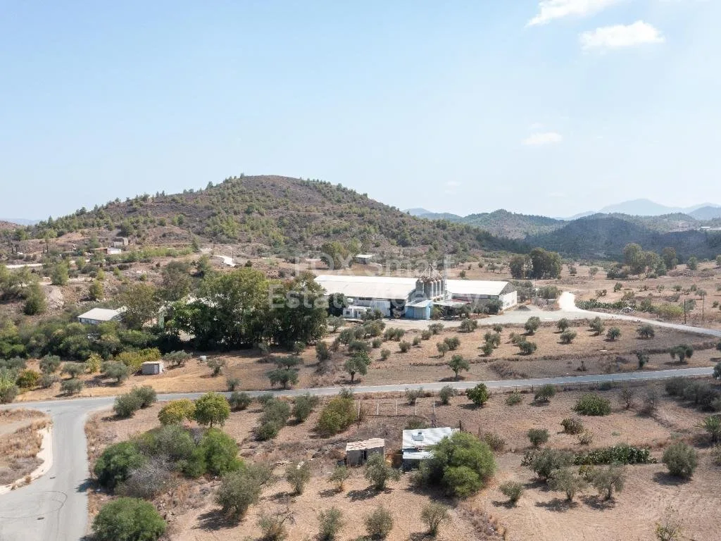 Bien immobilier 50905 Agia Varvara, Nicosie / 43359