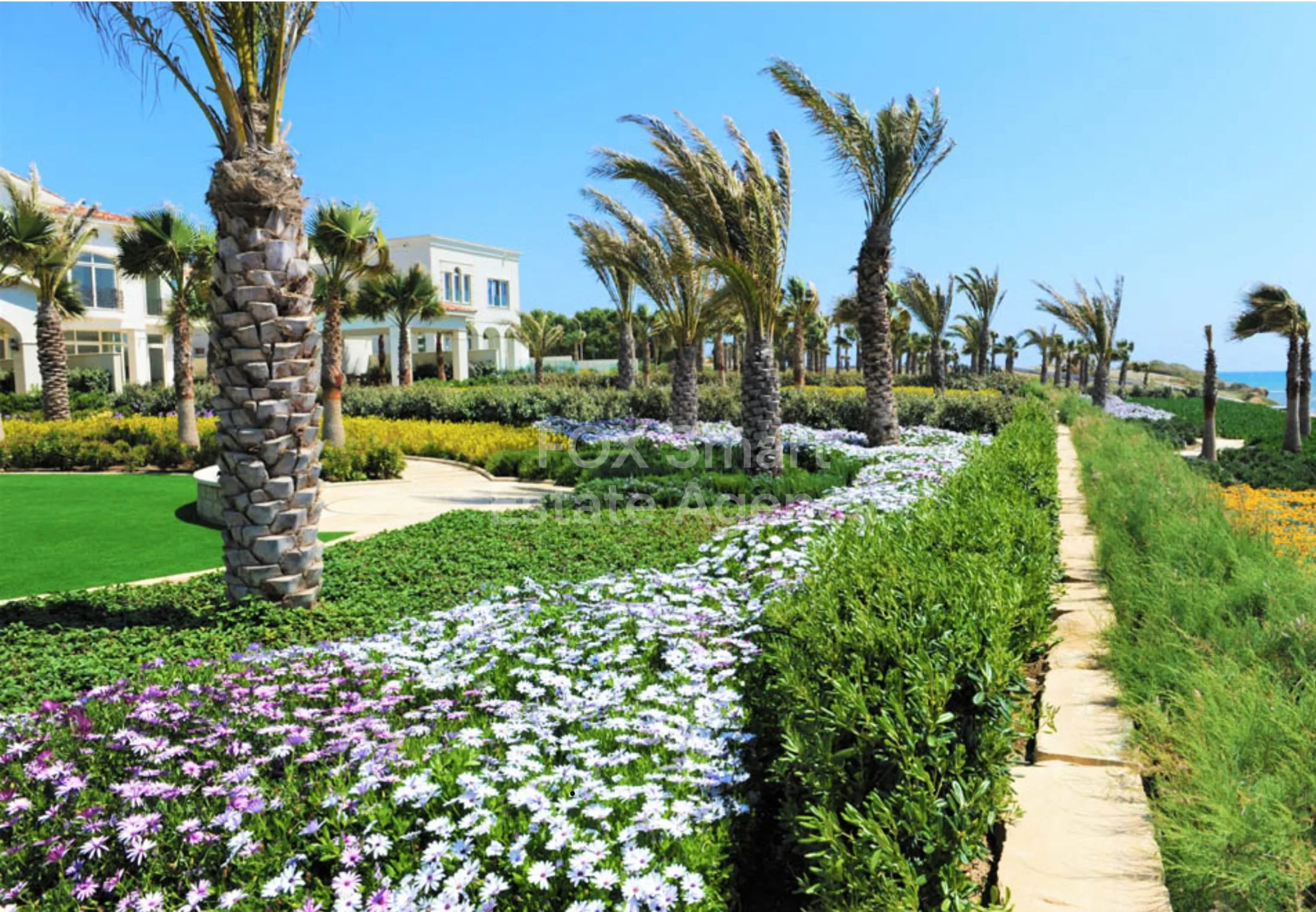 Property 50962 Pervolia, Larnaca / 43402 25