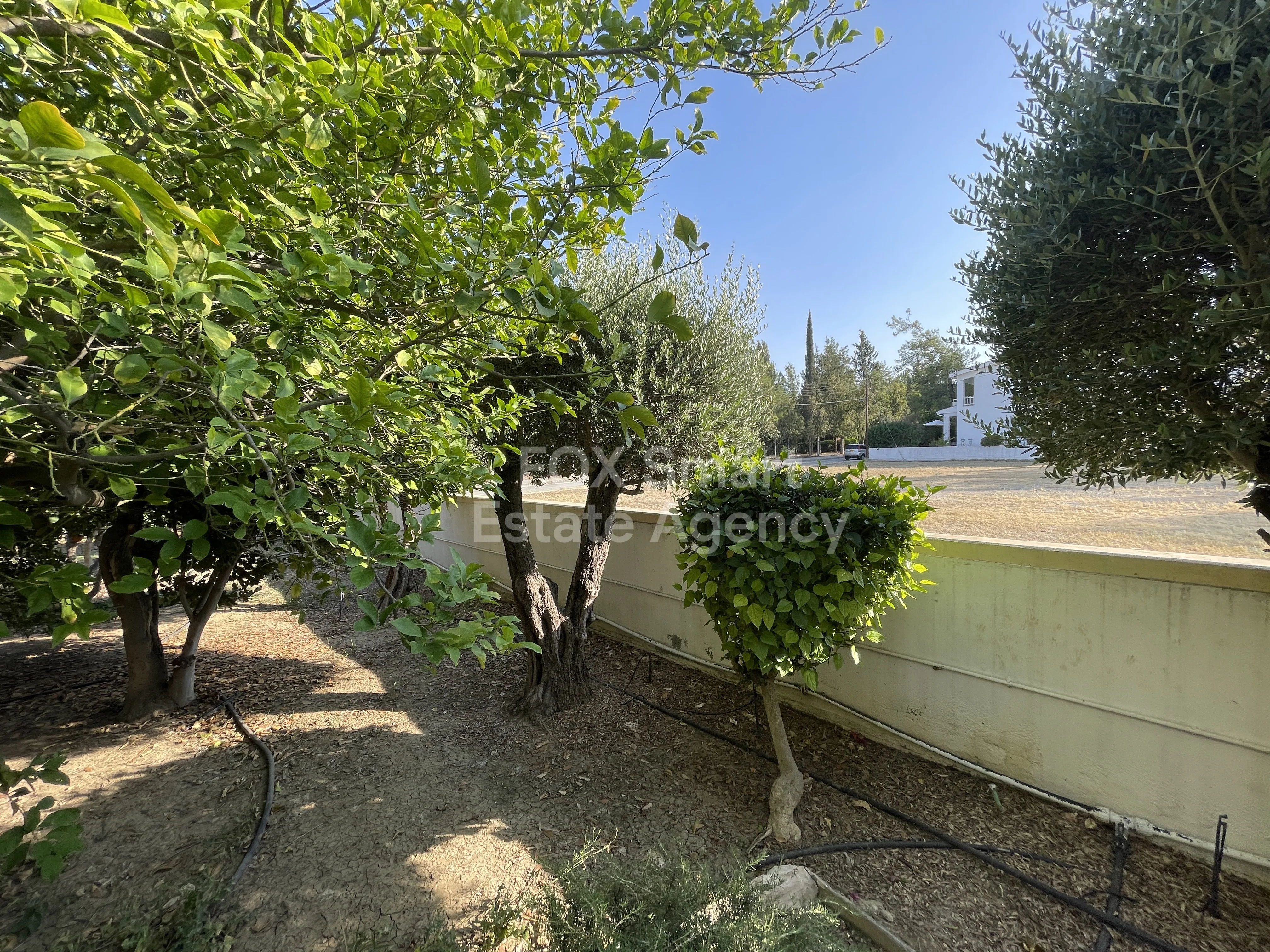 Immobile 51790 Strovolos, Nicosia / 44100 13