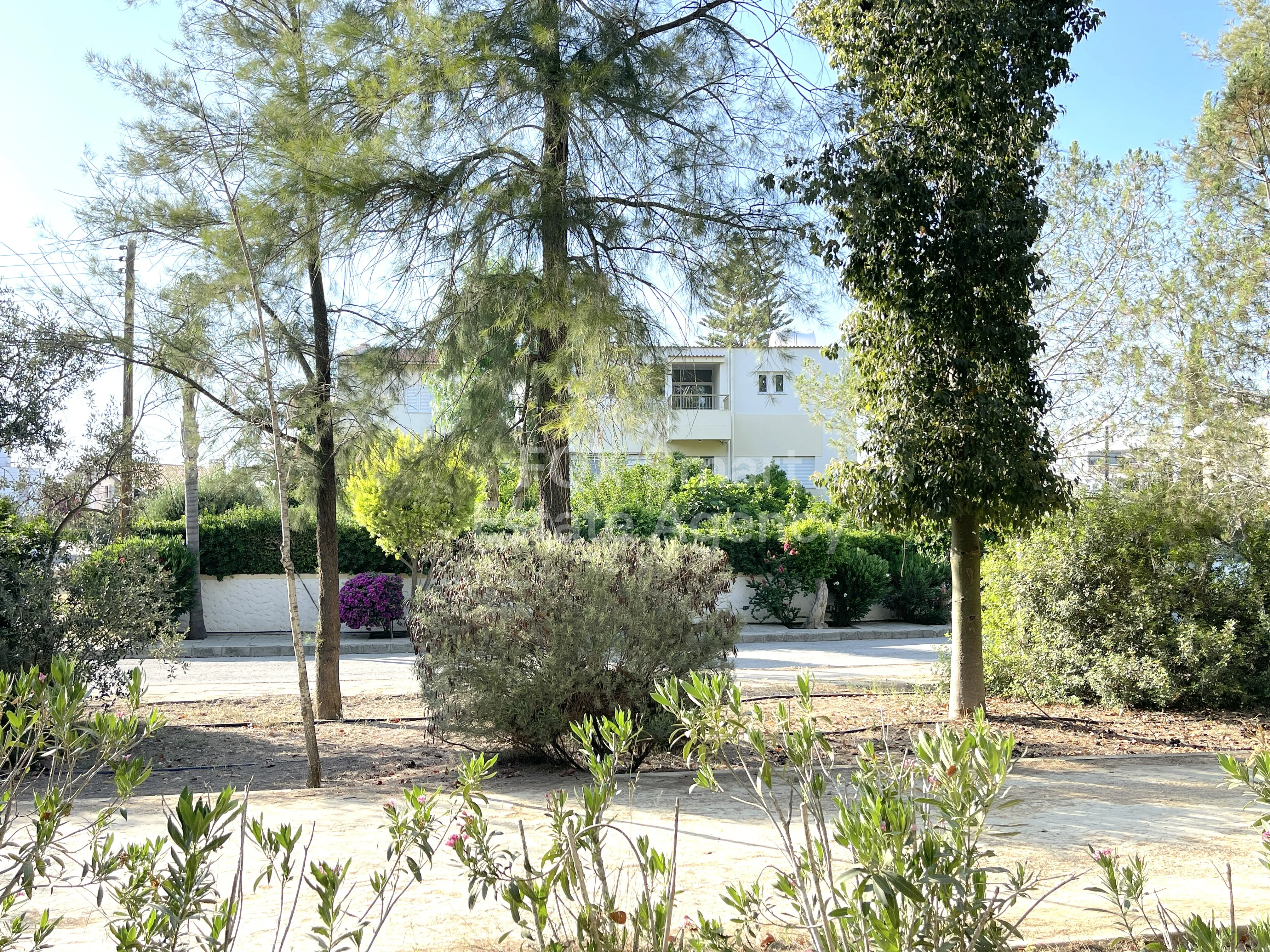 Immobile 51790 Strovolos, Nicosia / 44100 19