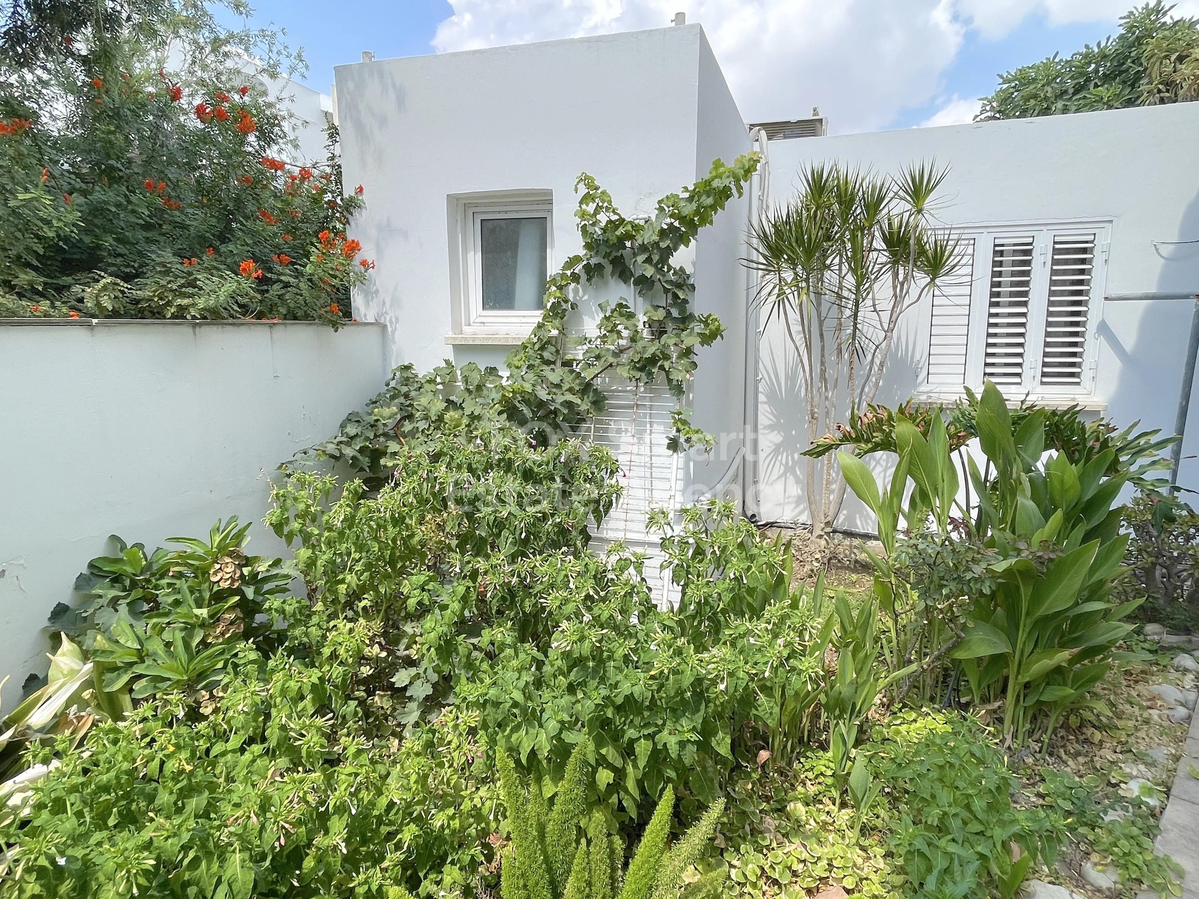 Propiedad 54460 Nicosia, Nicosia / 46173 19