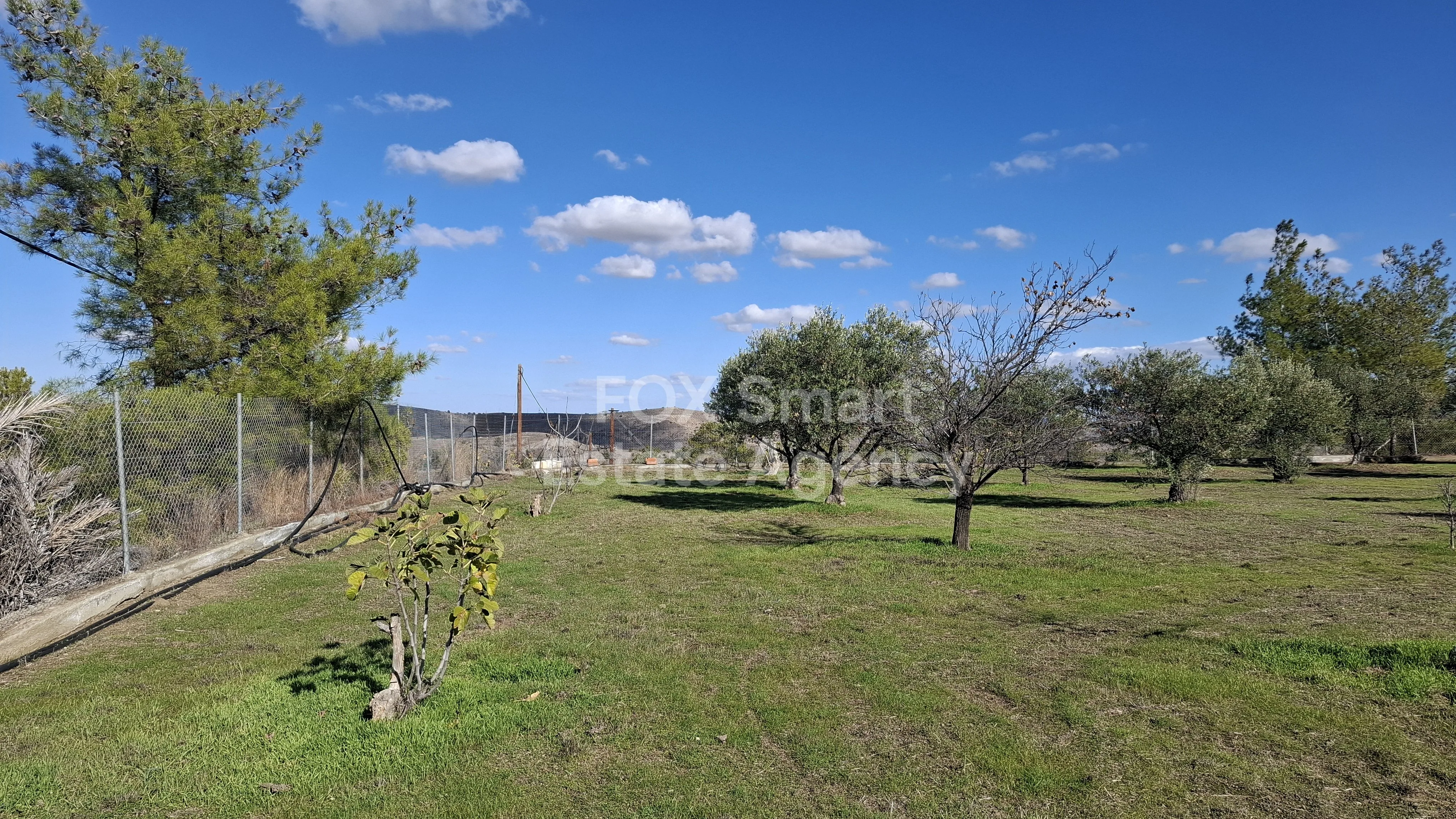 Nieruchomość 54832 Alampra, Nikozja / 46479 17