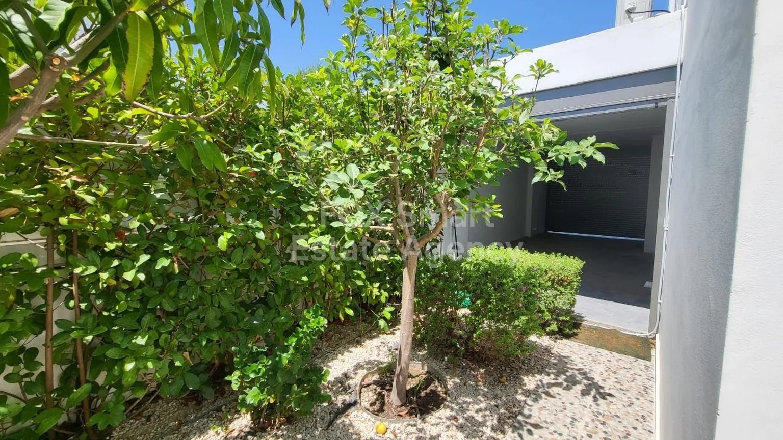Propiedad 47903 Livadia, Larnaca 23