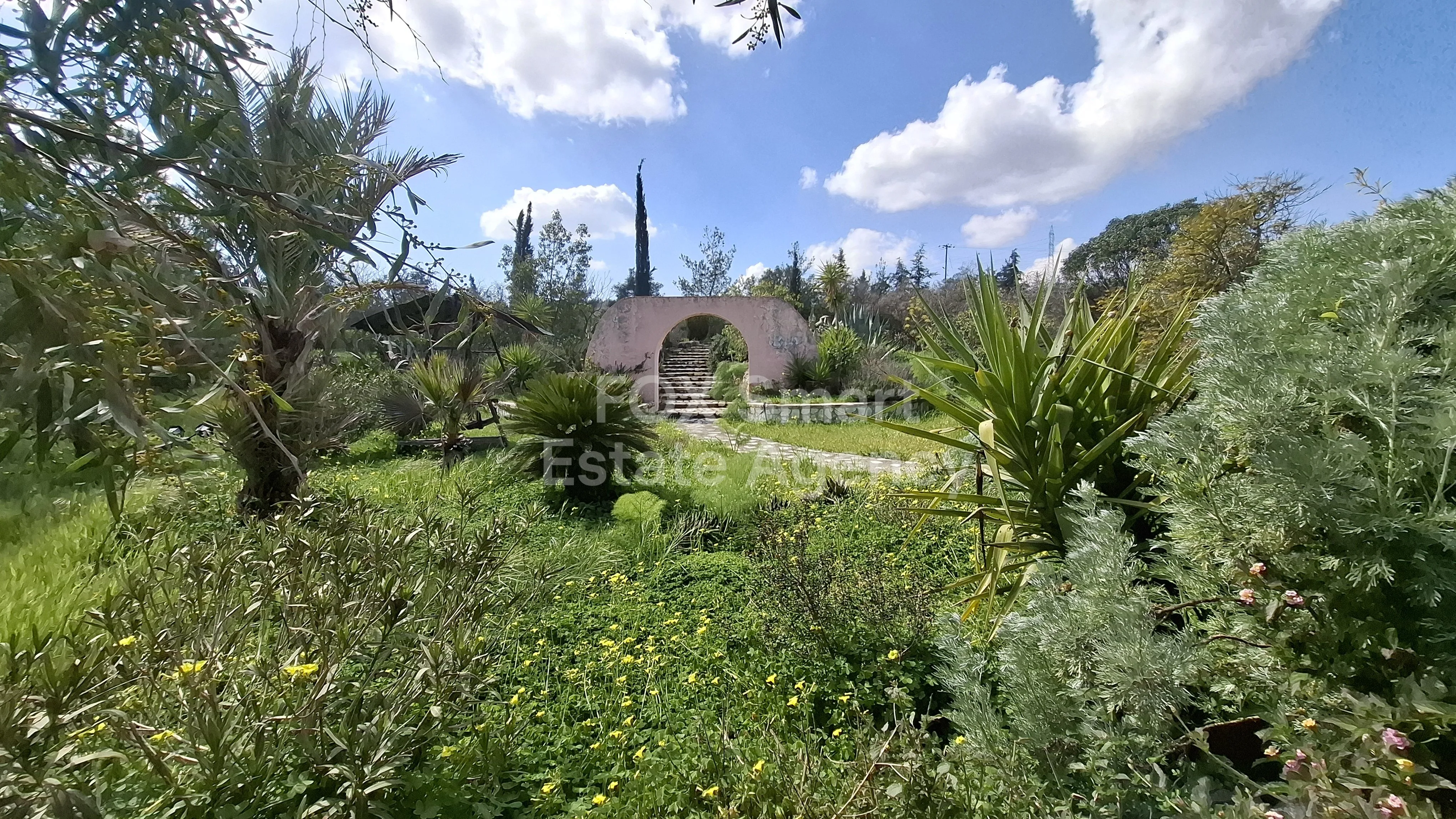 Propiedad 58219 Mosfiloti, Larnaca / 49481 15