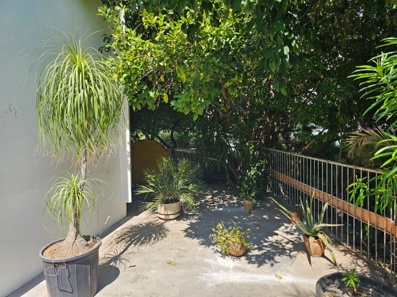 Thumbnail 18 房地产 2400 Engomi, 尼科西亚 / AR-125652