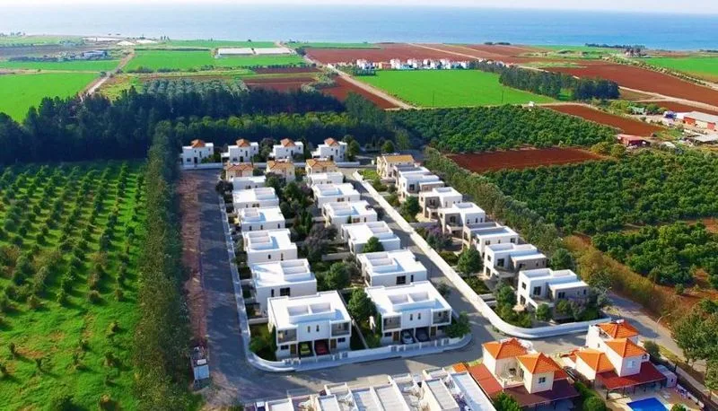 נכס ari006n3 מנדרייה, פאפוס 13
