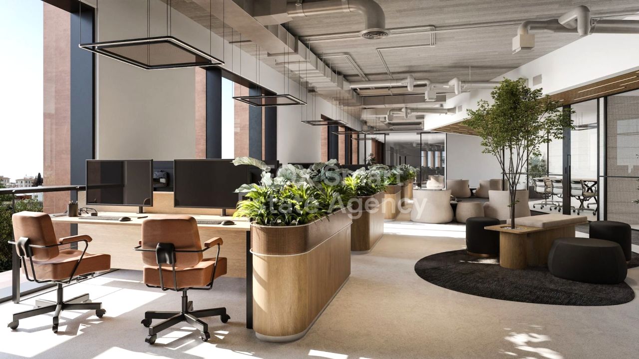 Thumbnail 8 Propiedad 3101 Limasol / LIM-PAF-32989