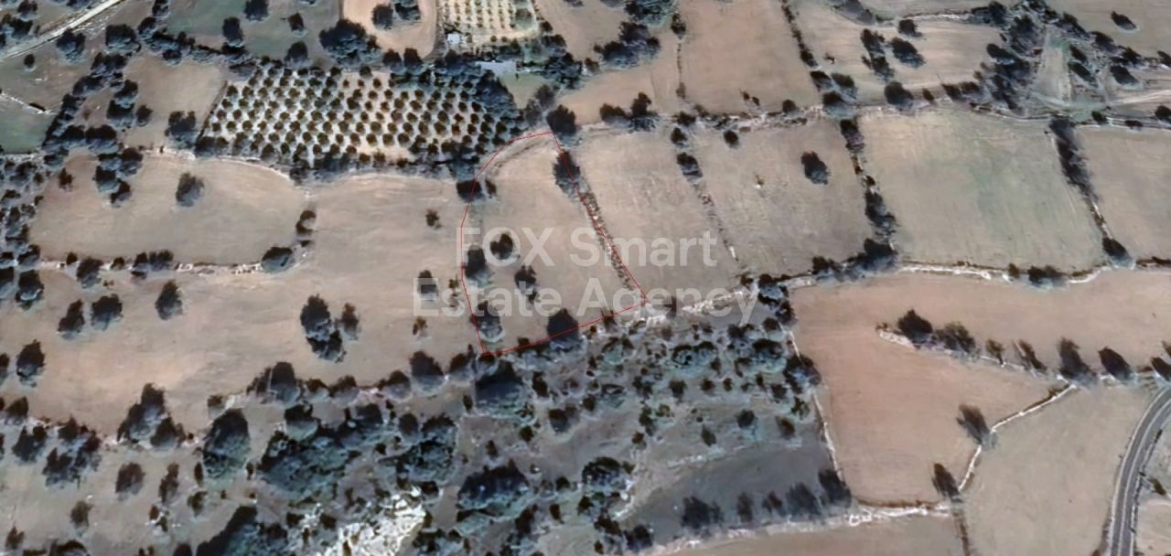Thumbnail 2 LIM-PAF-3528 / נכס 4603 אנגירה, לימסול