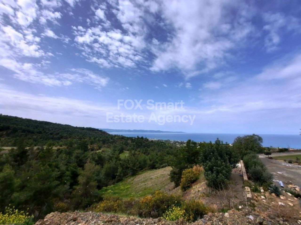 Thumbnail 1 Propriété 8049 Paphos / LIM-PAF-6100