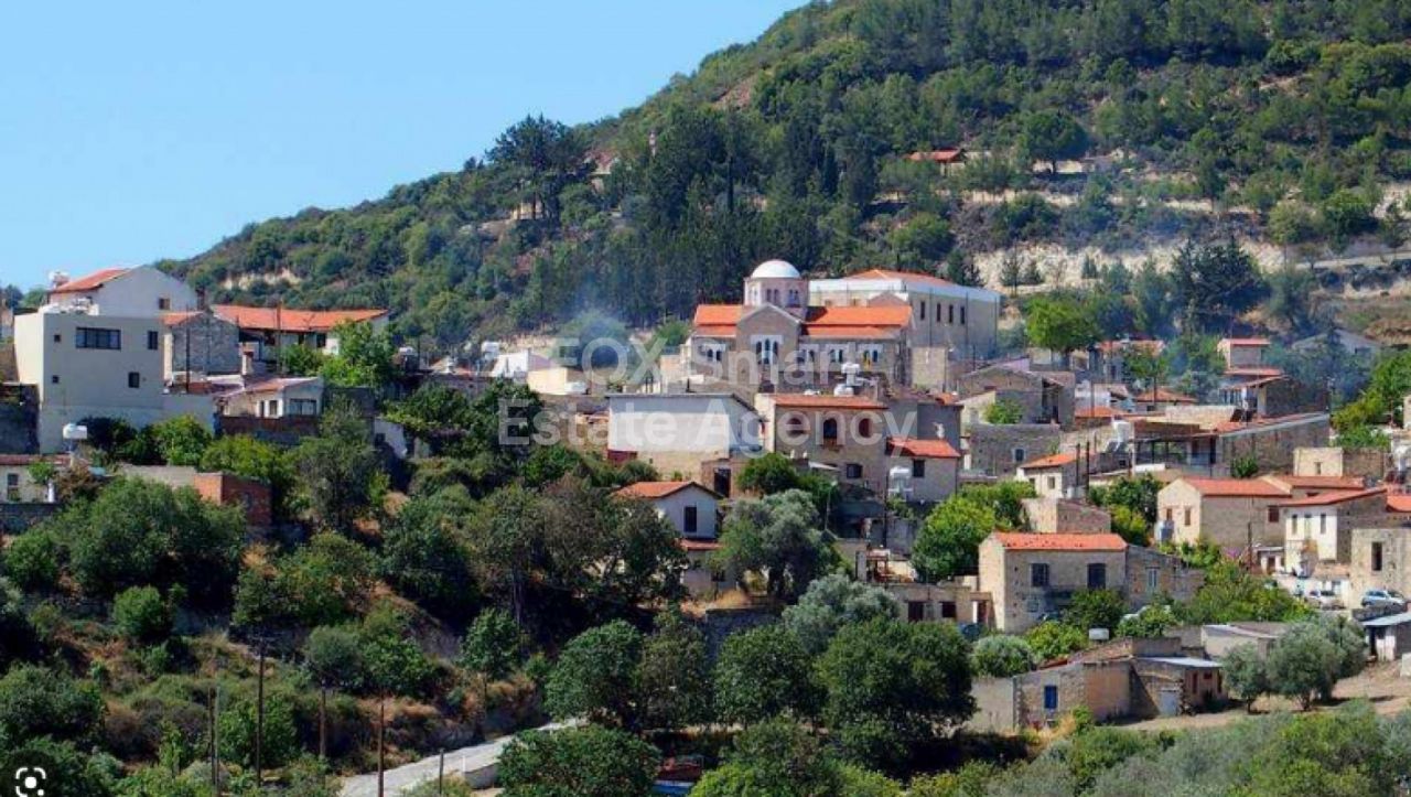 Thumbnail 2 Property 8560 Pegeia, Paphos / LIM-PAF-9274