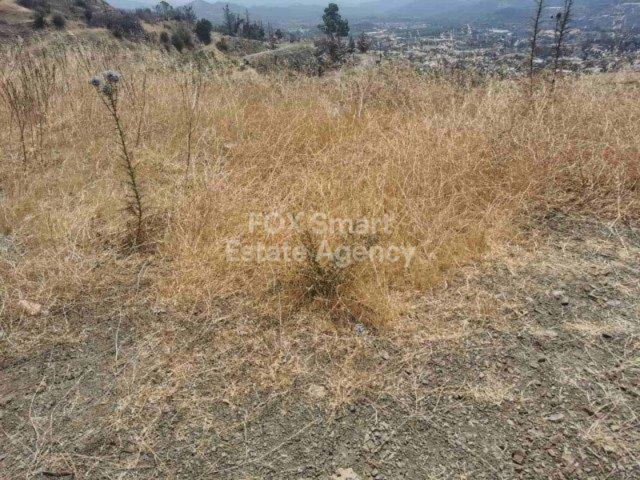 Thumbnail 3 Property 4506 Eptagoneia, Limassol / LIM-PAF-L-99980