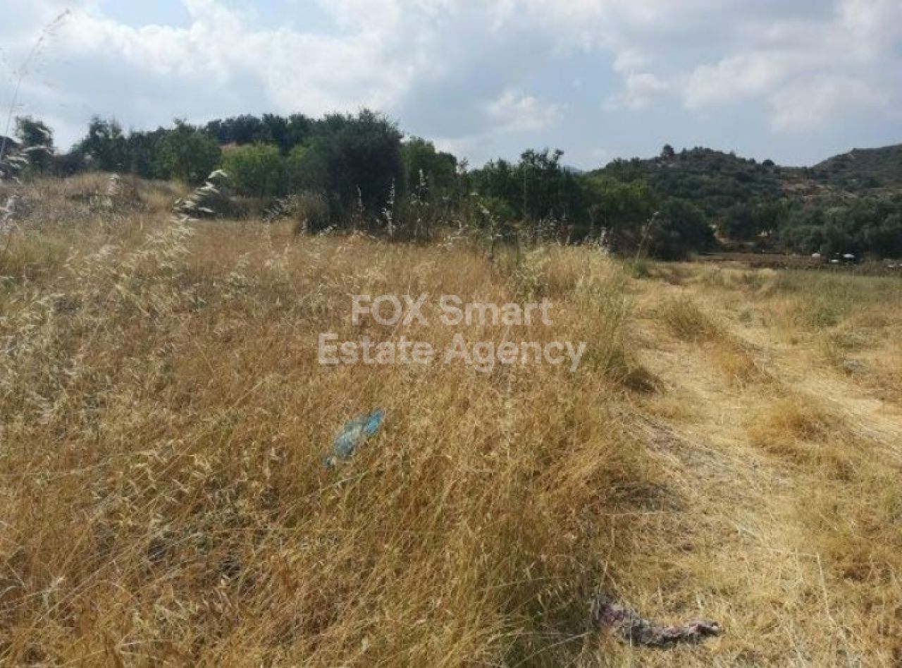 Thumbnail 1 Property 4506 Eptagoneia, Limassol / LIM-PAF-L-99980