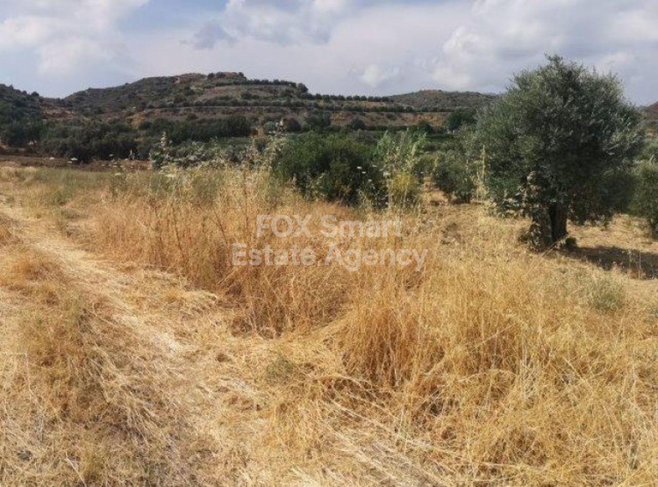 Thumbnail 2 Property 4506 Eptagoneia, Limassol / LIM-PAF-L-99980