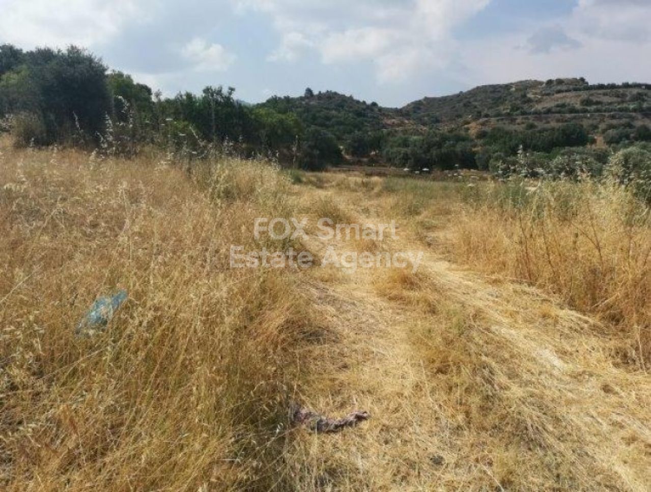 Thumbnail 4 Property 4506 Eptagoneia, Limassol / LIM-PAF-L-99980