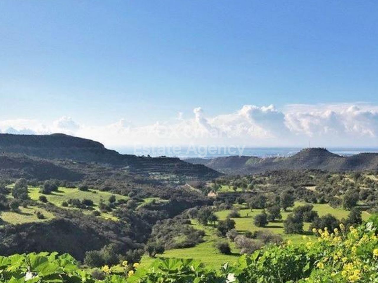 Ακίνητο 26358 Μανσούρα, Λευκωσία / LIM-PAF-2340