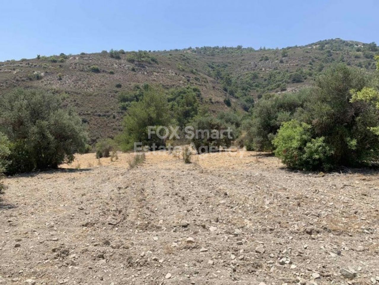 Thumbnail 3 EIGENTUM 4543 Gerasa, Limassol / LIM-PAF-4721