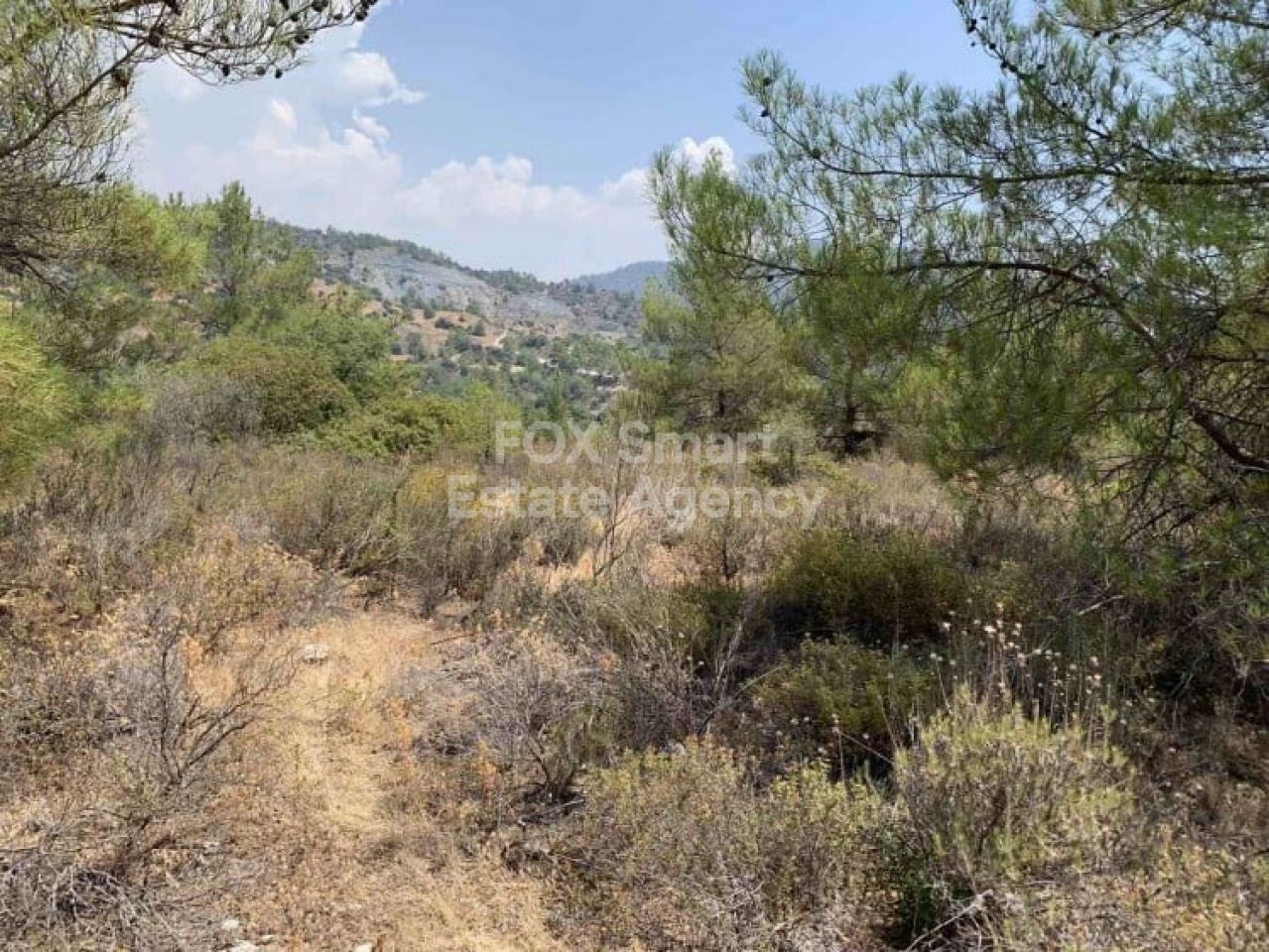 Thumbnail 2 EIGENTUM 4543 Gerasa, Limassol / LIM-PAF-4721