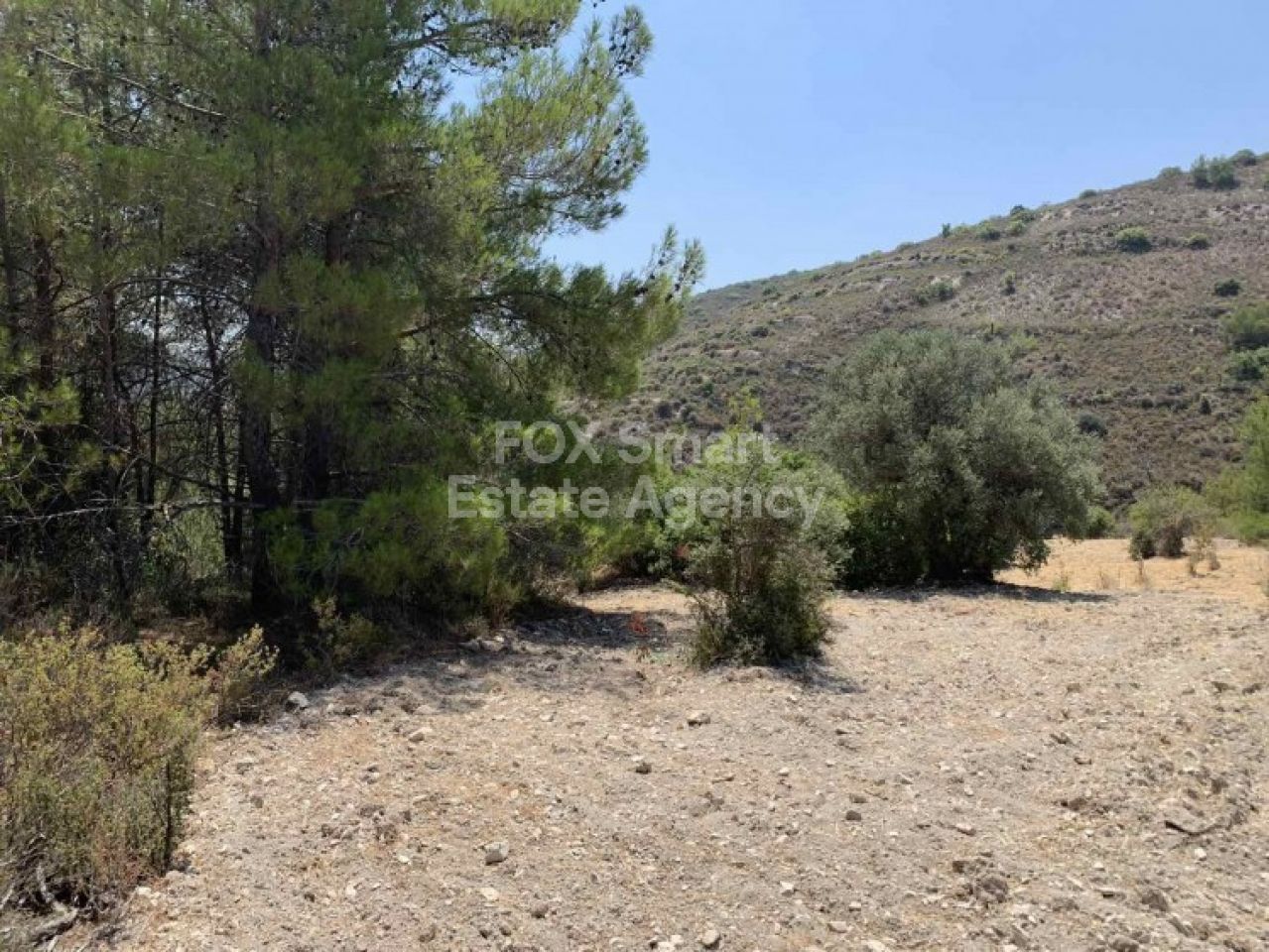 Thumbnail 1 EIGENTUM 4543 Gerasa, Limassol / LIM-PAF-4721