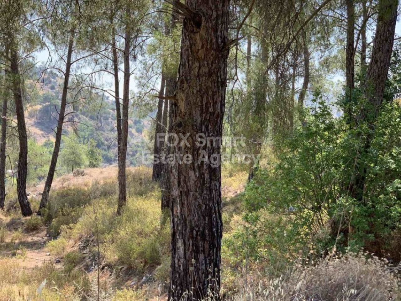 Thumbnail 1 EIGENTUM 4543 Gerasa, Limassol / LIM-PAF-4728
