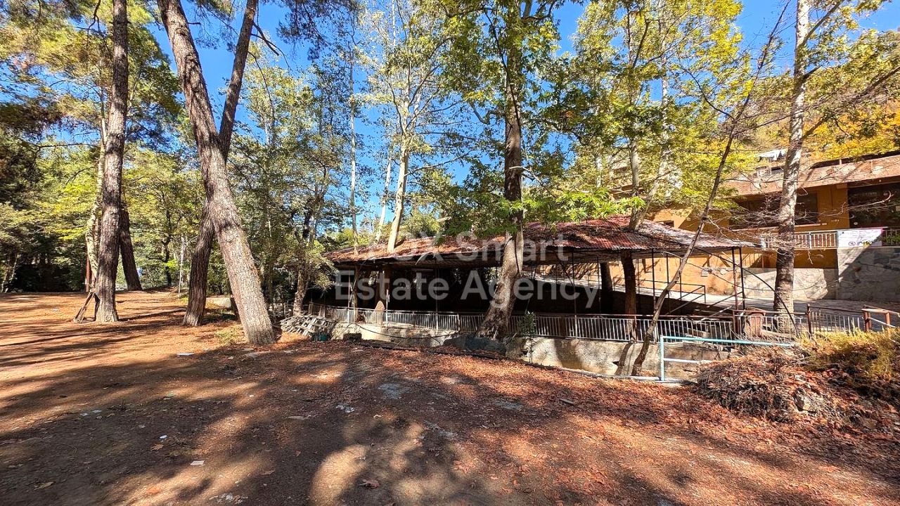 Thumbnail 18 Property 2800 Kakopetria, Nicosia / 46375 | 46375 Thumbnail 18 Property 2800 Kakopetria, Nicosia / 46375